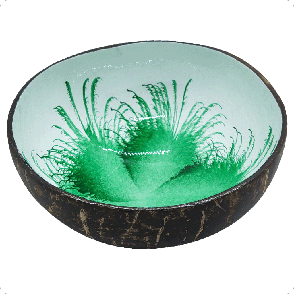 Real Coconut shell Bowl Forest floral Print